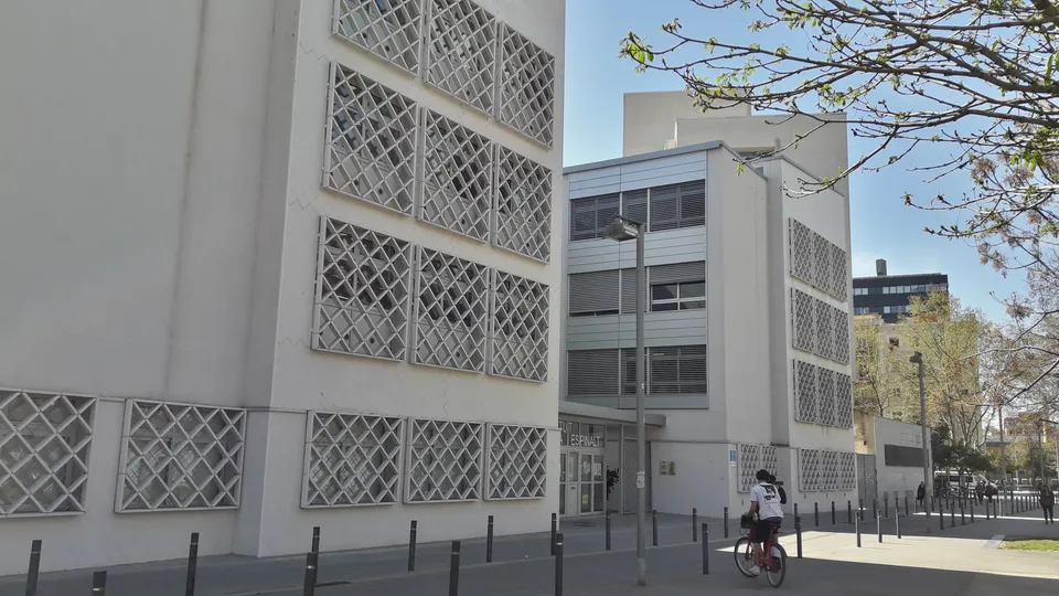 Students Strike for School Trips Amid Education Crisis